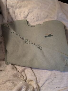 Patagonia Logo Crewneck Sweatshirt in Sage Green
